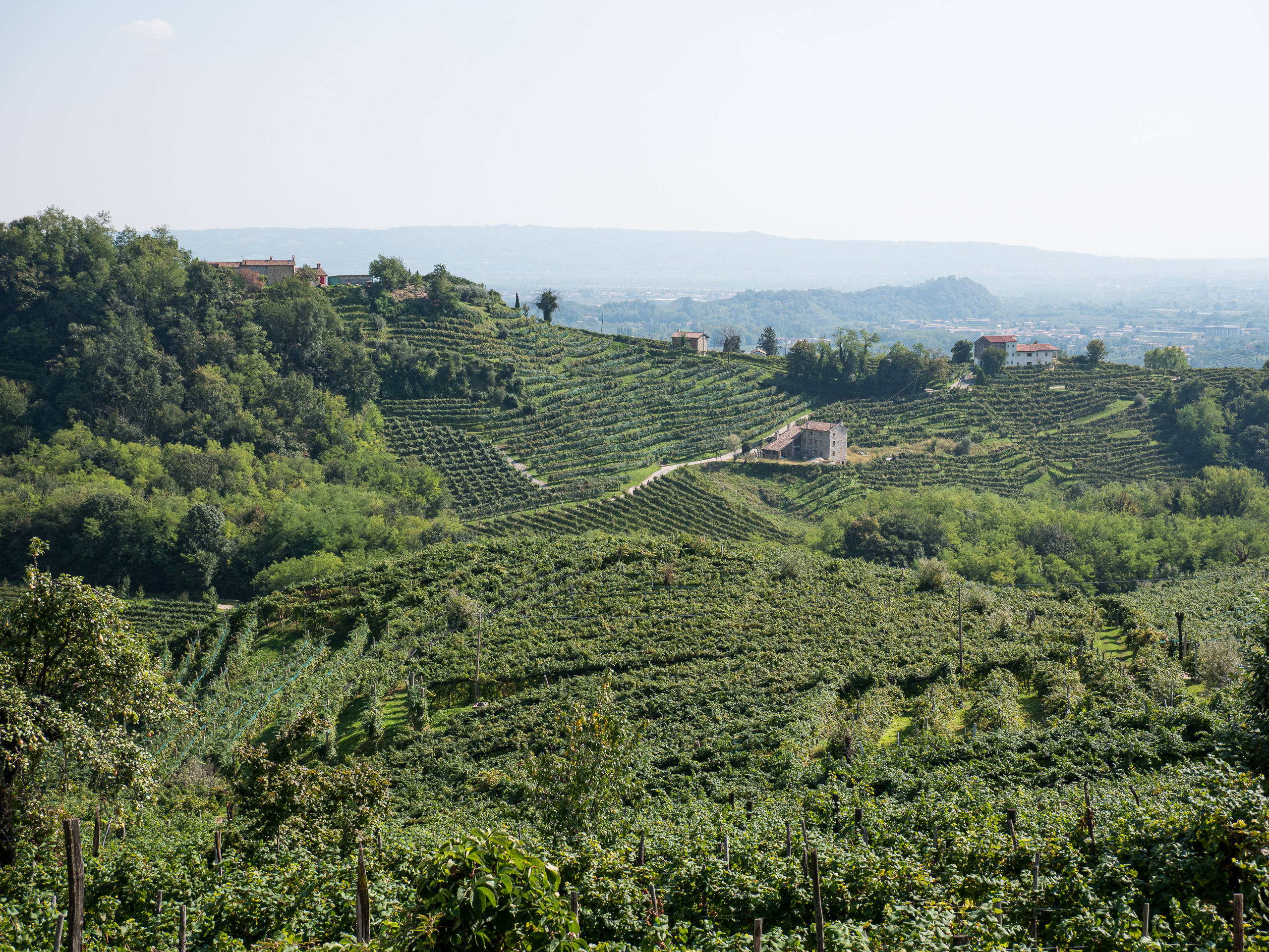 Sedico – Passo San Boldo: Durchs Prosecco-Land